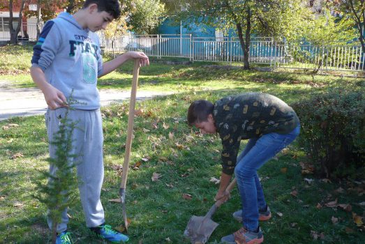 Ученици засаждат дървета по повод Деня за мир на ООН